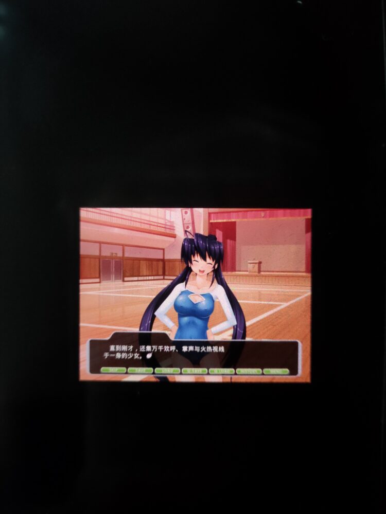 汉化版（340mb）とらぶるHOME！～義理の母と妹は恋敵～
