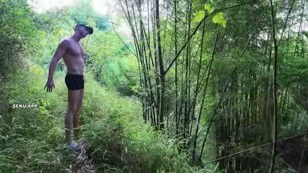 dygjCp