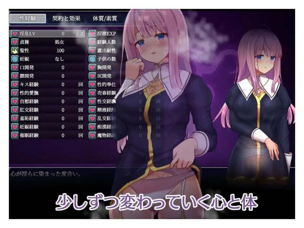 [PC/2D/RPG/全CG/存档/AI汉化]艾妮西亚与契约纹章 エニシアと契約紋 V1.10[PC1.5GB/百度/迅雷/UC]